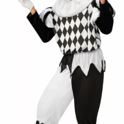 Bristol Novelty Harlequin Male Costume