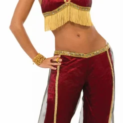 Bristol Novelty Ruby Dancer Costume